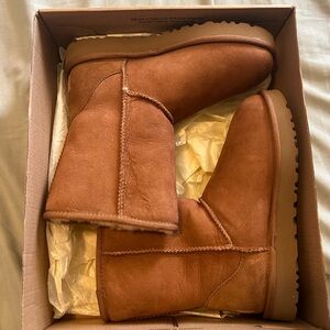 NWT CLASSIC UGGS
